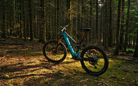 Alles, was du über E-Bikes wissen musst – Der ultimative Einsteiger-Guide