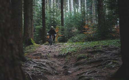 Mountainbike-Land Deutschland: Die 10 besten Trails, Parks und Abenteuer