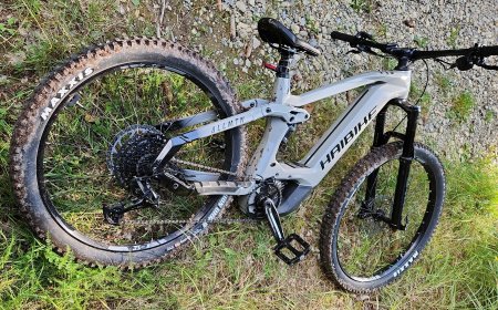 Haibike AllMtn: E-Bike Fully für Mountainbiker