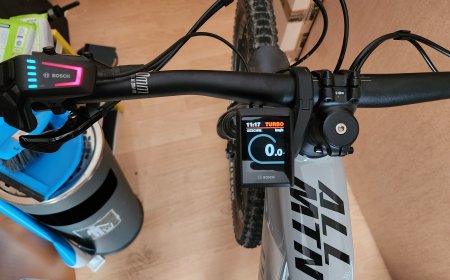 Bosch Kiox 300: Funktionen, Daten und Preis