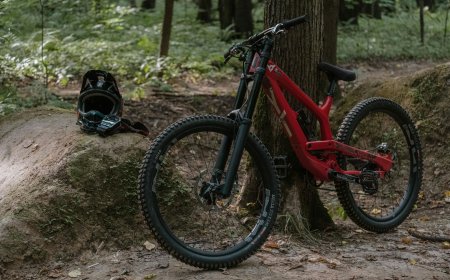 E-Bikes und Pedelecs gebraucht kaufen: Worauf achten?