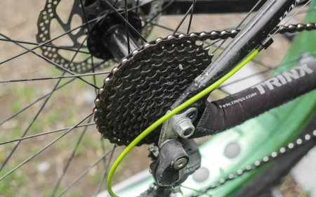 Wie viele Gänge sollte ein E-Bike haben? – Ein umfassender Leitfaden