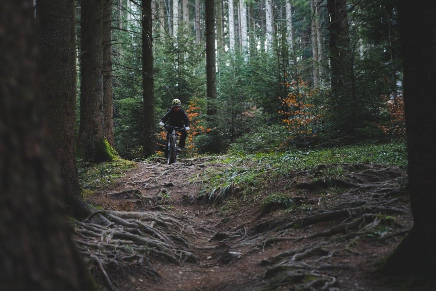 Mountainbike-Land Deutschland: Die 10 besten Trails, Parks und Abenteuer