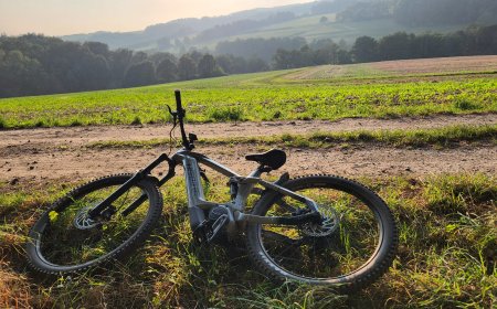 E-Bike Versicherungen: Was Sie Wissen Müssen – Umfassender Leitfaden