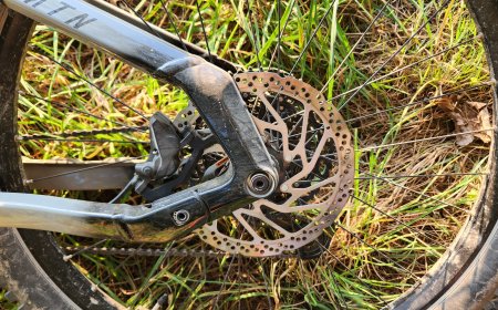 Reparatur- und Wartungstipps für E-Bikes: Do-it-yourself oder zum Profi?