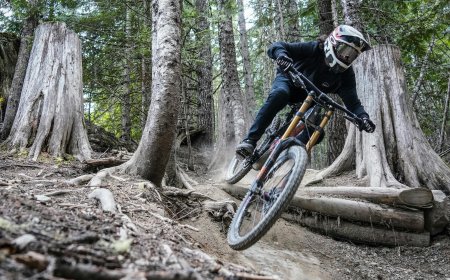 Wird Mountainbiken im Wald bald verboten? Was steckt hinter den aktuellen Diskussionen?