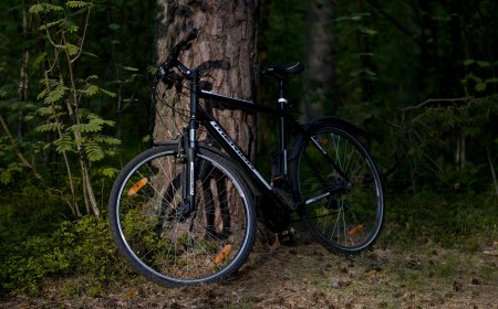 Wie fahre ich E-Bike im Herbst? Tipps für Laub, Regen, Matsch
