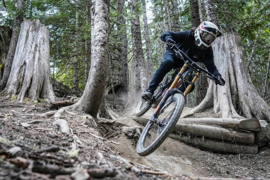 Wird Mountainbiken im Wald bald verboten? Was steckt hinter den aktuellen Diskussionen?