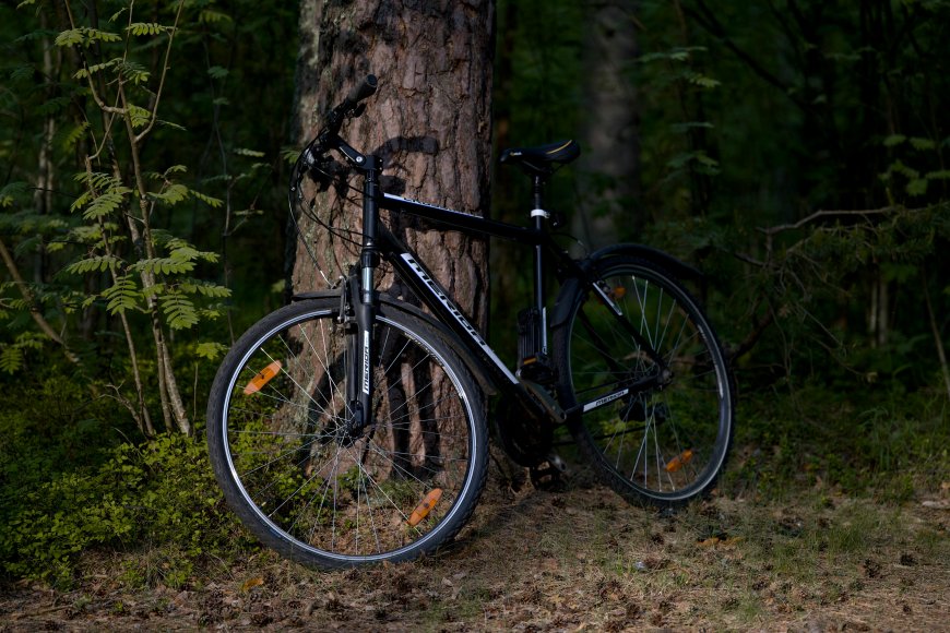 Wie fahre ich E-Bike im Herbst? Tipps für Laub, Regen, Matsch