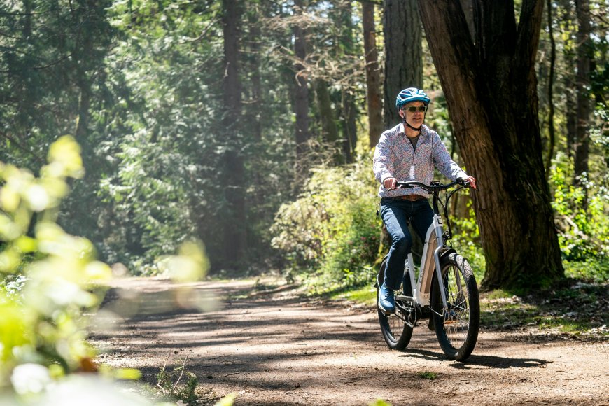 Das E-Bike als Tool für Work-Life-Balance: Stress abbauen durch Fahrradtouren