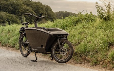 Was geschah 2024 in der E-Bike-Welt?