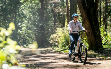 Bikepacking 2025: Dein Guide für das nächste Abenteuer auf zwei Rädern