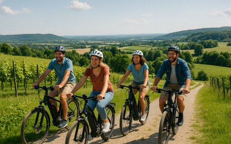 Die 7 schönsten E-Bike-Touren in Hessen 2025